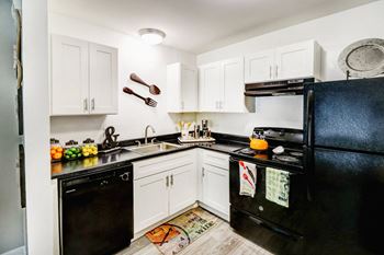 Newly renovated apartments